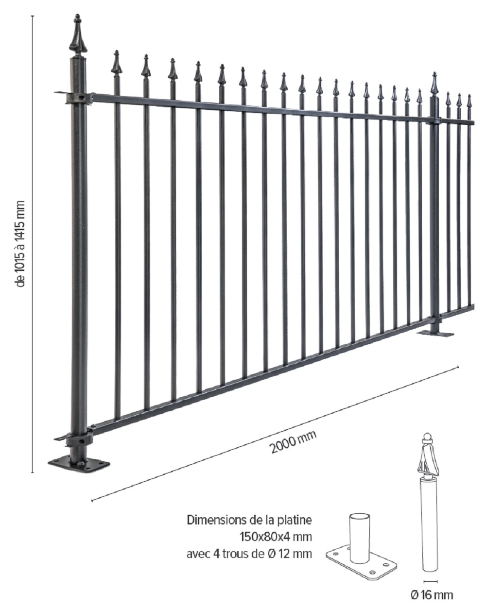 Recintha Giglio - Détails techniques